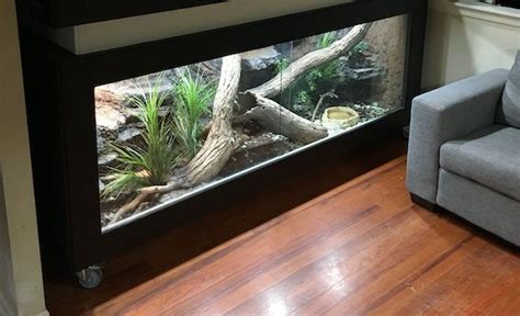 Diy Reptile Enclosure 7 Snake Enclosure Ideas To Try Now