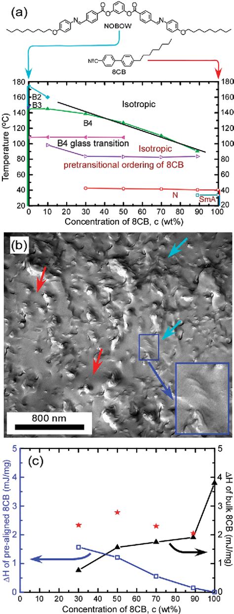 Figure 1 From Pretransitional Orientational Ordering Of A Calamitic