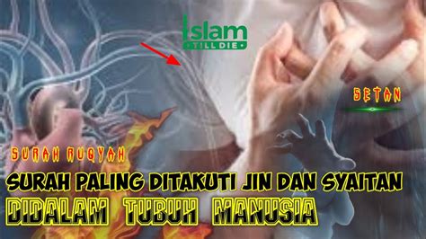 Surah Yang Paling Ditakuti Jin Dan Syaitan Didalam Tubuh Manusia Surah