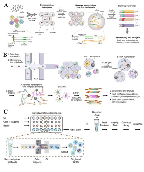 Single Cell Sequencing Drop