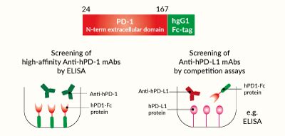 Recombinant Human PD 1 Protein InvivoGen