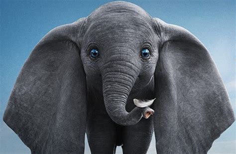 Dumbo Live Action Ganha Novo Trailer Jornal Joca