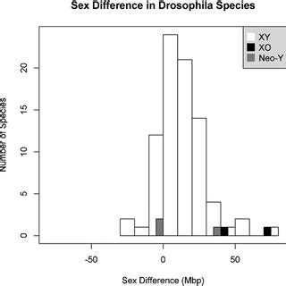 Difference Due To Heteromorphic Sex Chromosomes Plotted On Sophophora