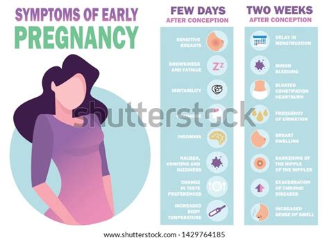 Vektor Stok Symptoms Early Pregnancy Detailed Vector Infographic Tanpa Royalti 1429764185