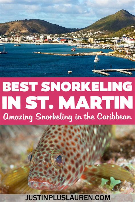 Best Snorkeling in St Martin: Ultimate Guide to the Best Locations