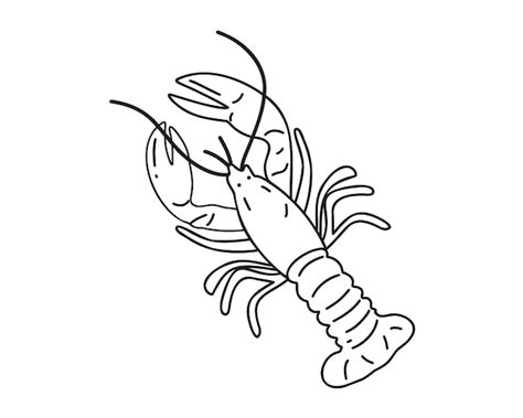 Premium Vector Doodle Style Fresh Red Crayfish Isolated On White