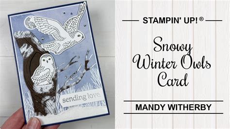 Snowy Winter Owls September December Mini Catalogue Stampin