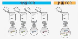 PCR疑难问题粉碎机 一 终点PCR 每日生物评论