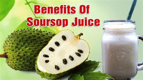 Amazing Benefits Of Soursop For Skin Hair And Health Premium