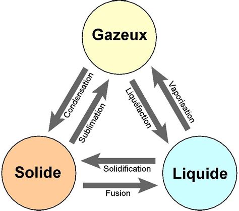 Propriete Physique Et Chimique De La Mati Re Diagram De Ven