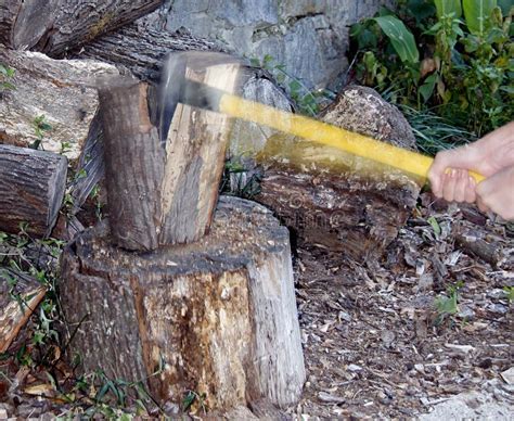 Chopping Wood Stock Image Image Of Splitting Sharp 21529223