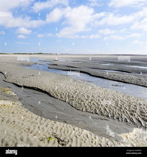 Bay Of Somme At Low Tide Le Hourdel Cayeux Sur Mer Somme Hauts De