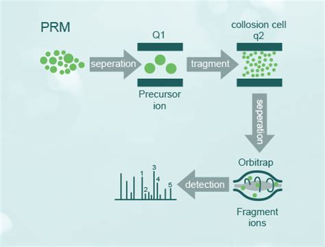 Prm目标蛋白质组学prm靶向蛋白检测 金开瑞