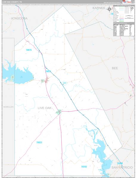 Live Oak County Wall Map - Premium - MarketMAPS