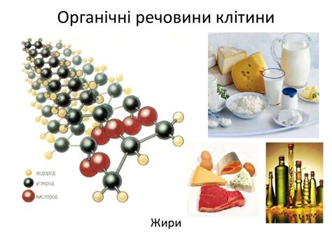 Хімічний склад клітини - презентация онлайн