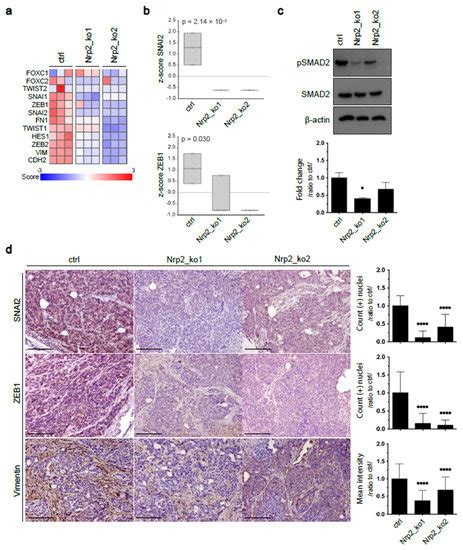 Cancers Special Issue Three Dimensional Culture Systems In Cancer