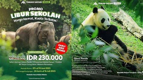 Promo Harga Tiket Masuk Taman Safari Bogor Saat Libur Sekolah Ini Cara