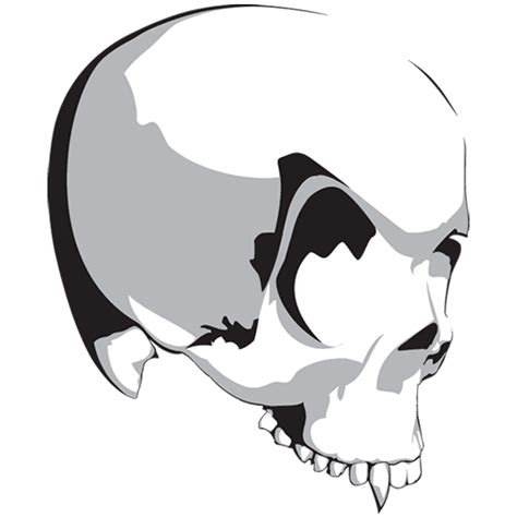 Vampire Skull Pictures Clipart Best