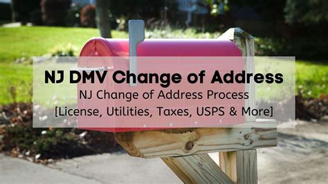 Is Nj Dmv Open To Public At Rose Anderson Blog