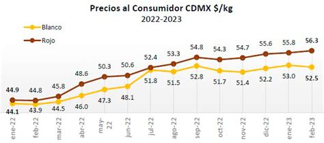 Causas Del Aumento En El Precio Del Huevo BM Editores