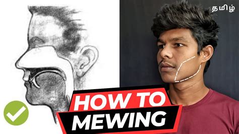 How To Mewingtamil Guide For Get Attractive Face Mewing Technique