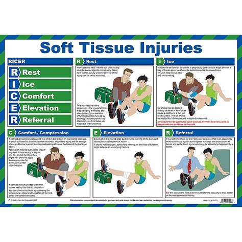 Top 91+ Wallpaper First Aid For Fractures With Pictures Latest 10/2023