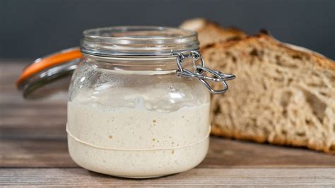 Sauerteigansatz Anstellgut NDR De Ratgeber Kochen Zutaten Zum