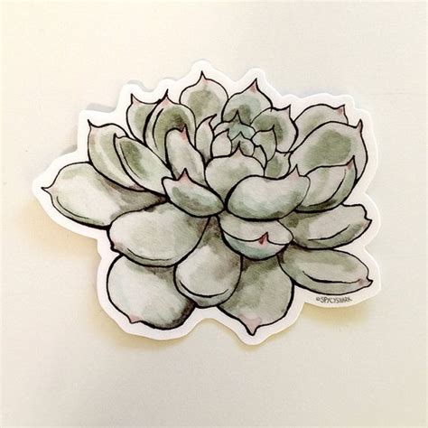 Watercolor Succulent Vinyl Sticker Plant Car Window Decal Etsy