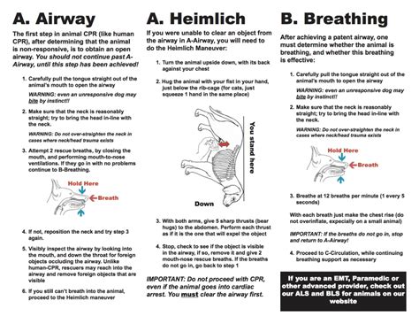 CPR For Your Pet | TFE Times