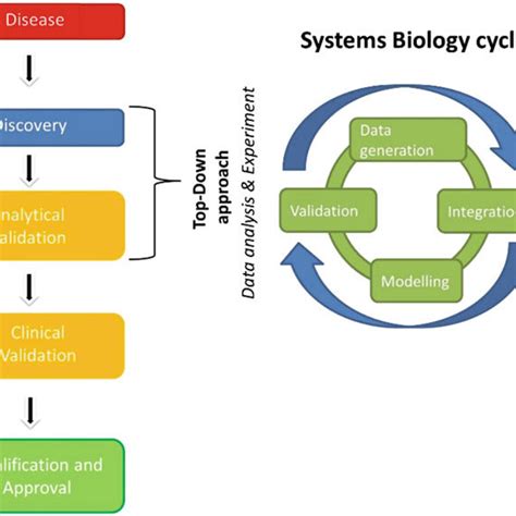 1 Relationship Between The Classical Biomarker Discovery Pipeline And