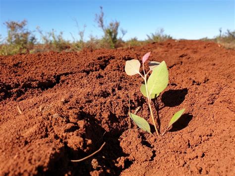 Stop Soil Erosion Save Our Future Nacc Northern Agricultural