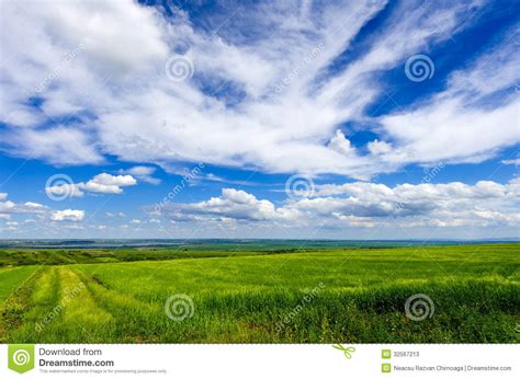 Meadow With Green Grass Stock Image Image Of Ground 32567213