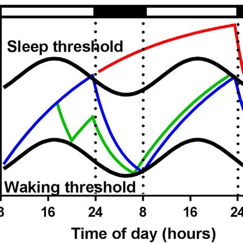 PDF Sleep Homeostasis And The Circadian Clock Do The Circadian