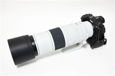 Canon RF200-800mm F6.3-9 IS USM Lens Review (Podcast 836) - Martin Bailey Photography