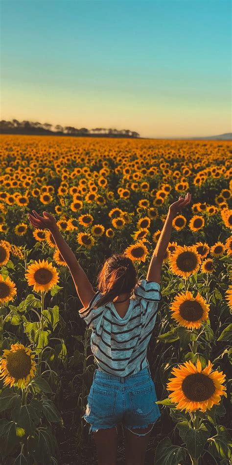 Sunny Day Sunflowers Farm Woman 1080x2160 Aesthetic Sunflower