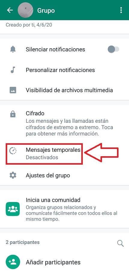 Activar Los Mensajes Temporales En Un Grupo De WhatsApp 2025