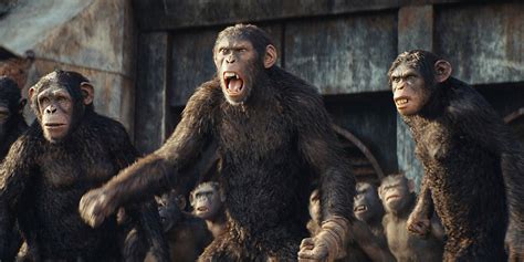 How To Stream Kingdom Of The Planet Of The Apes Right Now