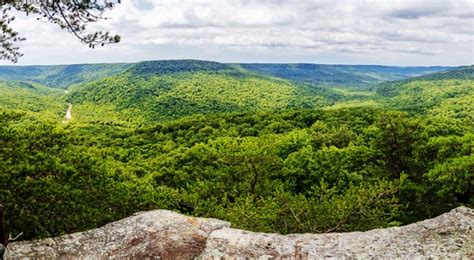 Tennessees Forgotten Frontier Unearthing The Fascinating History Of