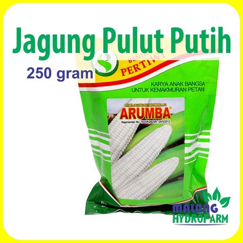 Jual Benih Jagung Pulut Putih Arumba Gram Pertiwi Ketan Unggul