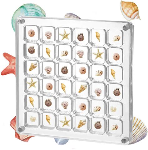 Amazon Acrylic Magnetic Seashell Display Box Grids Storage