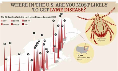 Where Are You Most Likely To Get Lyme Disease In The United States