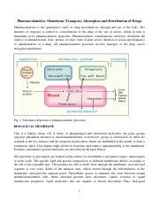 Pharmacokinetics Drug Absorption And Distribution Pdf