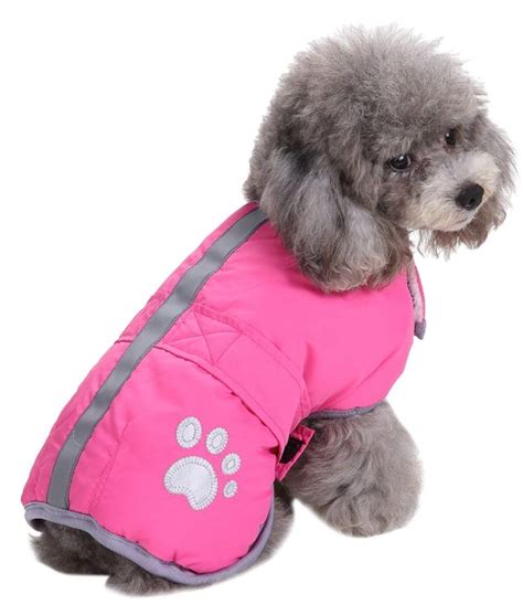 Are Poodle Coats Water Resistant