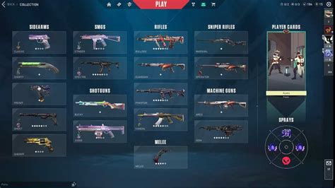 EU 51 Skins Reaver Karambit RGX 11z Pro Vandal Recon Phantom