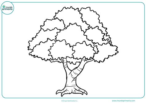 Ojas De Arbol Para Dibujar Dibujos Para De Hojas De Arboles Y Plantas