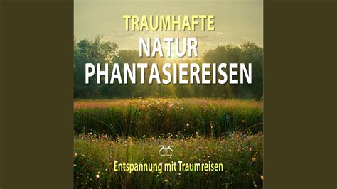 Im Wald Phantasiereise Waldger Usche Sanfte Musik Youtube