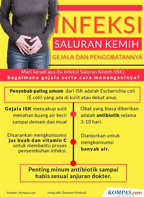 INFOGRAFIK Infeksi Saluran Kemih Apa Gejalanya