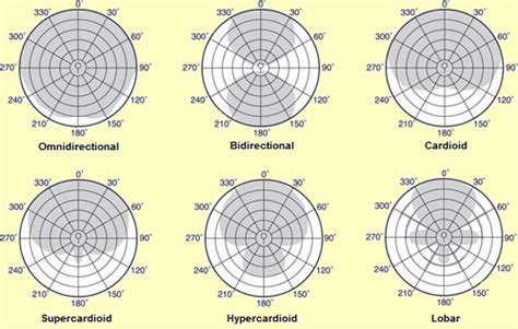 Download Hypercardioid Pickup Pattern Pics Review Mobil Official