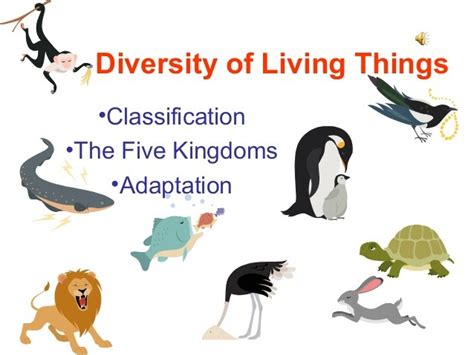 Grade 11 Biology Diversity Of Living Things Diagram Quizlet