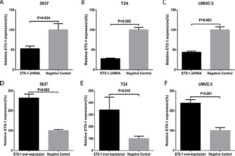 Figure From Inhibiting Cell Migration And Cell Invasion By Silencing